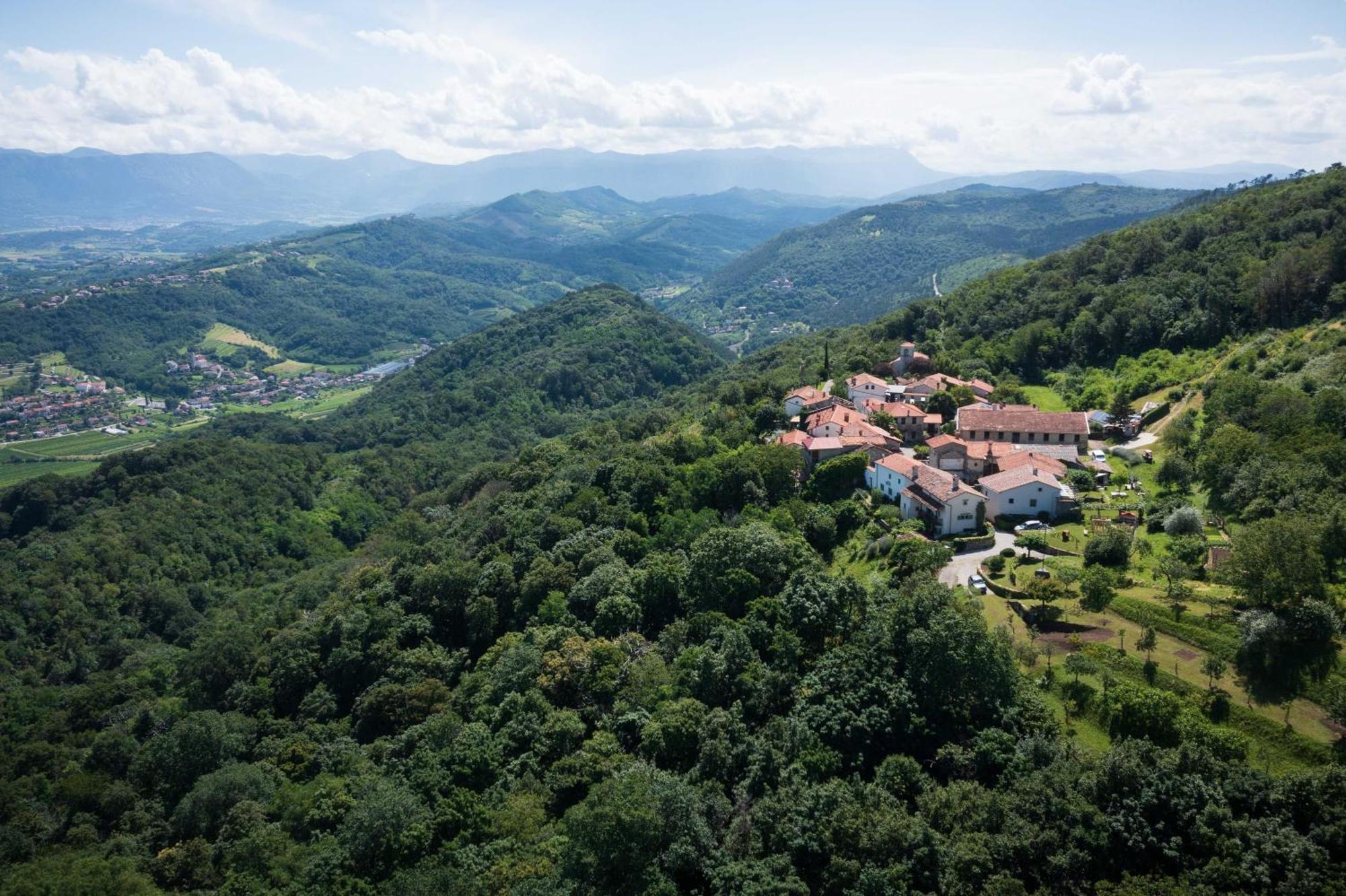 Villa Artes With Free Hot Tub & Sauna Branik Buitenkant foto